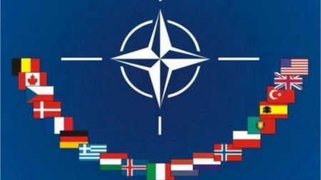 "Qarabağ münaqişəsinin həllinin bir yolu var" - NATO rəsmisi