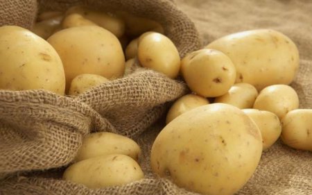 Kartof nə ilə faydalıdır