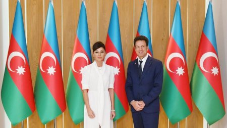 Mehriban Əliyeva MEDEF Biznes Şurasının prezidenti ilə görüşdü
