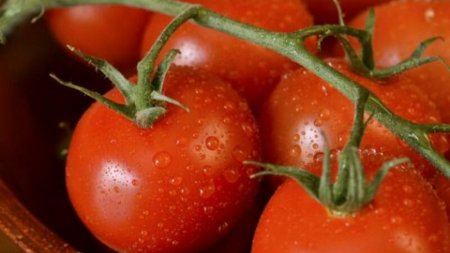 Pomidoru soyuducuda saxlayanlar MÜTLƏQ OXUSUN!