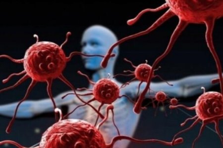 Dünyanın ən təhlükəli 10 virusu: Korona bunların ən təhlükəsiz FORMASIDIR - SİYAHI / ƏLAMƏTLƏR