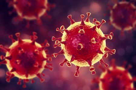 Koronavirusa asanlıqla yoluxa biləcəyiniz beş yer
