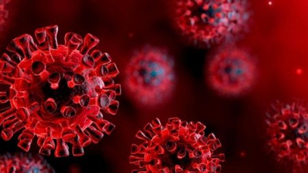 Koronavirusa qarşı inqilabi kəşf: 3 ay effektivliyi var