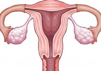Endometrium və hamiləlik