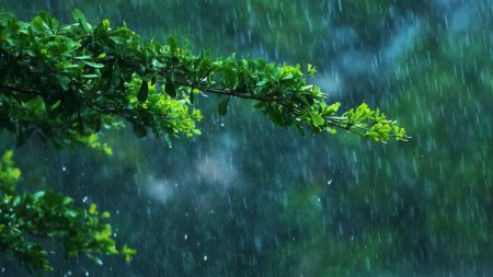 Hava kəskin DƏYİŞDİ: Güclü külək, yağış... - FAKTİKİ HAVA