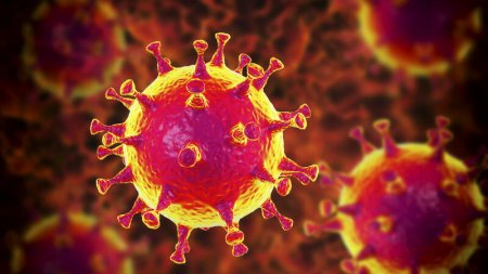 Koronavirusla bağlı 4 mif: Nələri düzgün bilmirik?