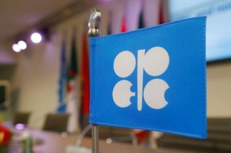 Rusiya OPEC+ platformasından kənarlaşdırıla bilər
