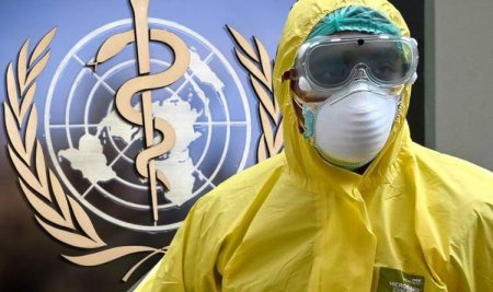 Pandemiyanın sonu yaxınlaşır - ÜST