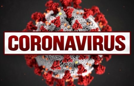 Son sutkada koronavirusa bu qədər insan yoluxdu - RƏQƏMLƏR