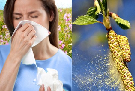 Yaz allergiyasının təbii vasitələrlə müalicəsi - RESEPT