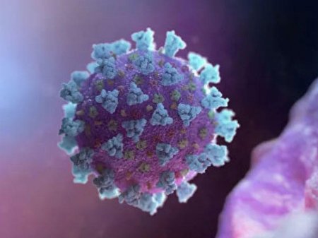 Koronavirus infeksiyalarını bloklayan süni virus yaradılıb