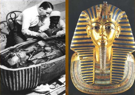 Tutanxamonun sarkofaqında hansı gül aşkar edilmişdir?