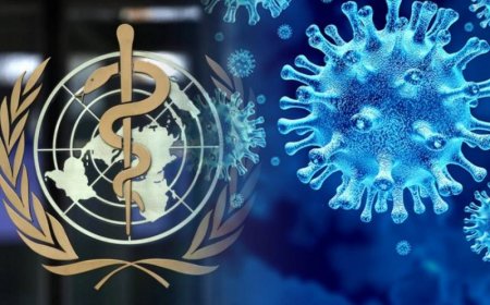 Koronavirusun "Omikron" ştamı 77 ölkədə aşkarlandı