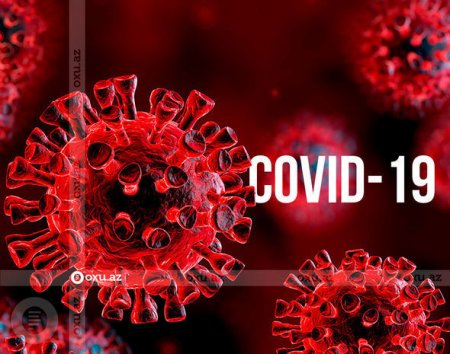 Cənubi Afrikada yeni koronavirus aşkarlanıb