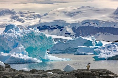 Antarktidada buzlaqların həcmi görünməmiş miqdarda azalıb