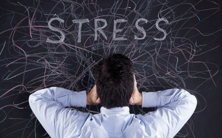 Stress hormonunu necə azaltmaq olar? - 3 tövsiyə