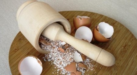 Yumurta qabığı deyib, atmayın: 5 faydanı gözdən keçirin!