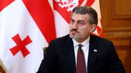 Gürcüstan Prezidenti sülh və iğtişaşlar arasında SEÇİM ETDİ
